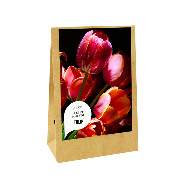 bloembollen-geschenk-zak-a-gift-for-you-tulpen-geschenk-met-verhaal