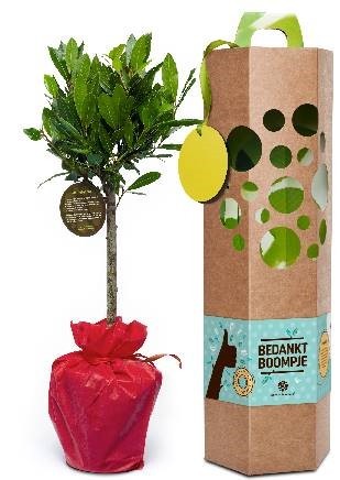 boomgeschenk-geschenk-met-verhaal