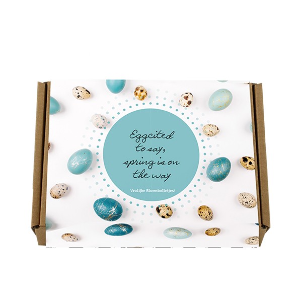 bloembollen-kraftdoos-lente-geschenk-met-verhaal