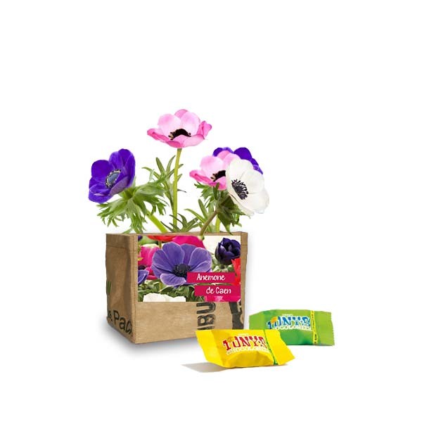 flowers-and-chocolate-voorjaarsgeschenk-geschenk-met-verhaal-kaart