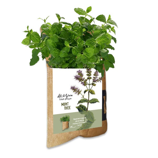 let-it-grow-thee-hangtuintje-geschenk-met-verhaal