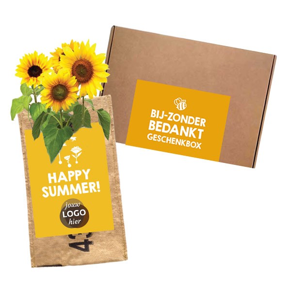 Let it Grow kweek hangtuintje | Zonnebloemen geschenkbox