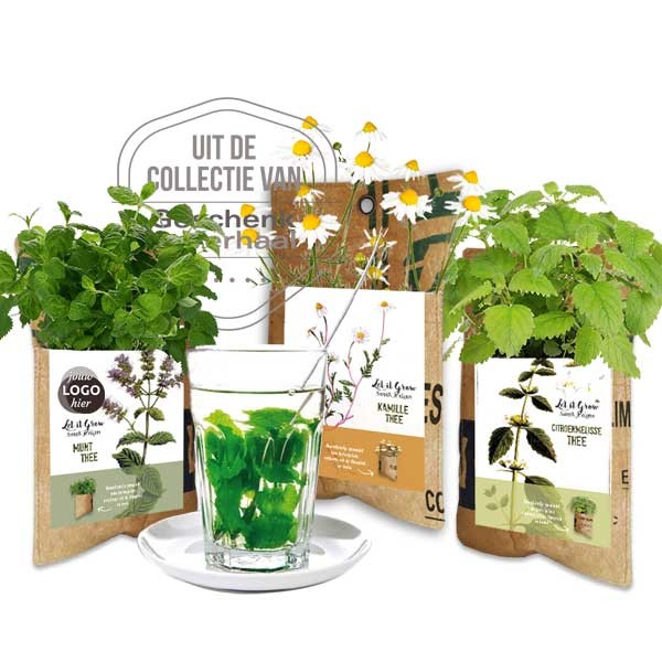 let-it-grow-thee-hangtuintje-geschenk-met-verhaal