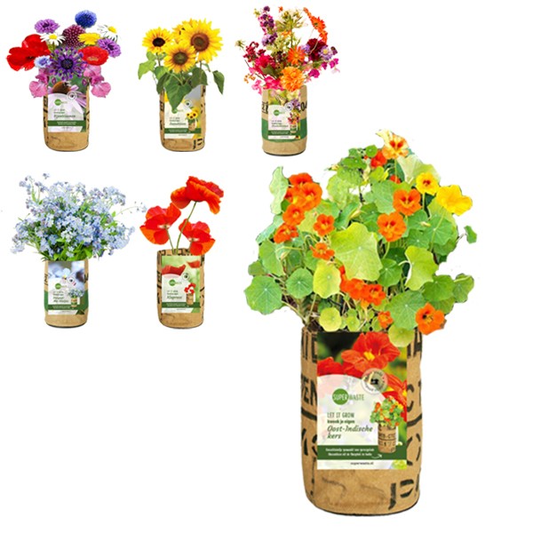 let-it-grow-kweektuin-flowers-superwaste-geschenk-met-verhaal