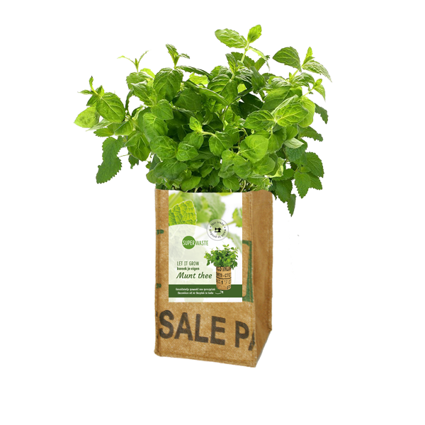 let-it-grow-kweektuin-munt