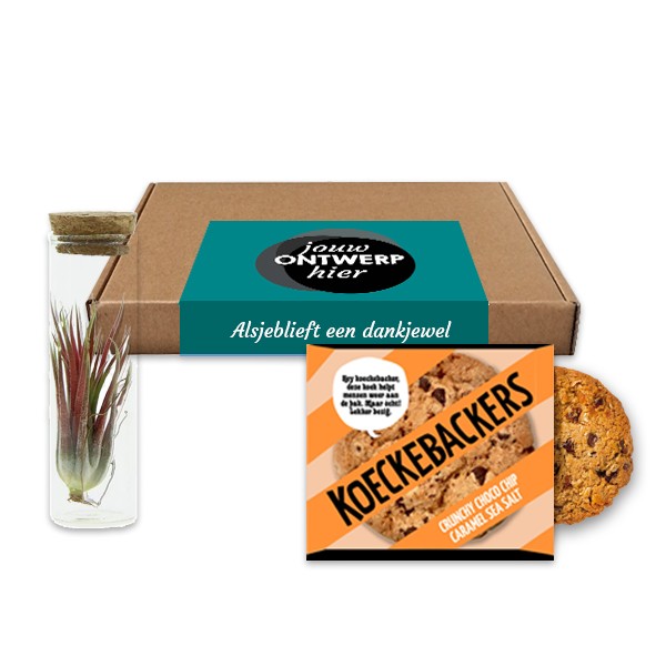 luchtig-geschenkbox-geschenk-met-verhaal