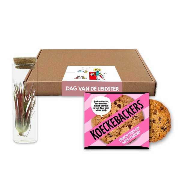 luchtig-geschenk-dag-van-de-leidster-geschenk-met-verhaal