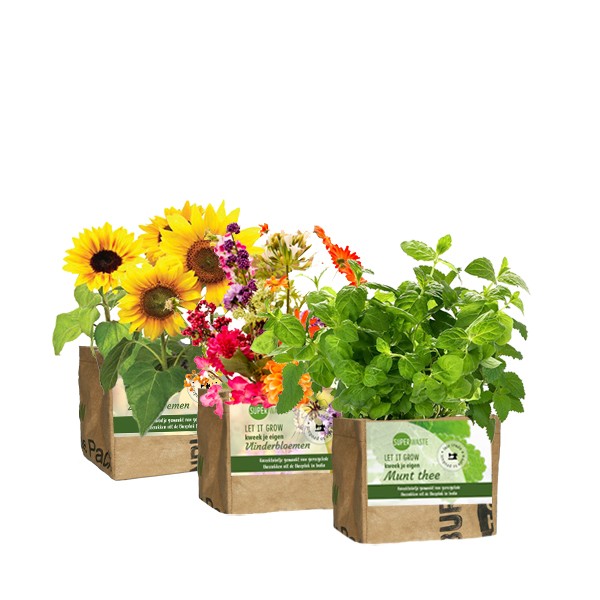 let-it-grow-mini-kweektuintje-superwaste-geschenk-met-verhaal