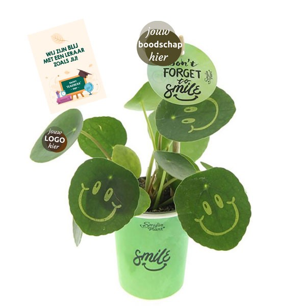 smylieplant-geschenk-met-verhaal-kartonnen-pot-giftbox-dag-van-de-leraar