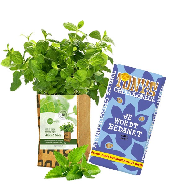 tea-time-chocolate-theepakket-for-one