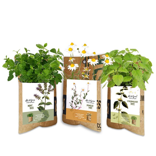 let-it-grow-thee-hangtuintje-geschenk-met-verhaal