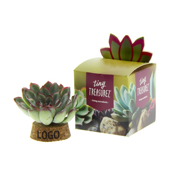 Tiny-treasurez-living-candle-geschenk-met-verhaal