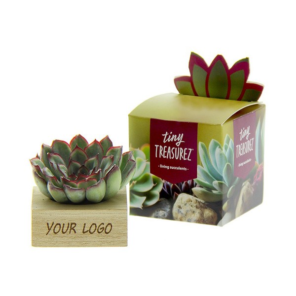 Tiny-treasurez-single-wood-geschenk-met-verhaal