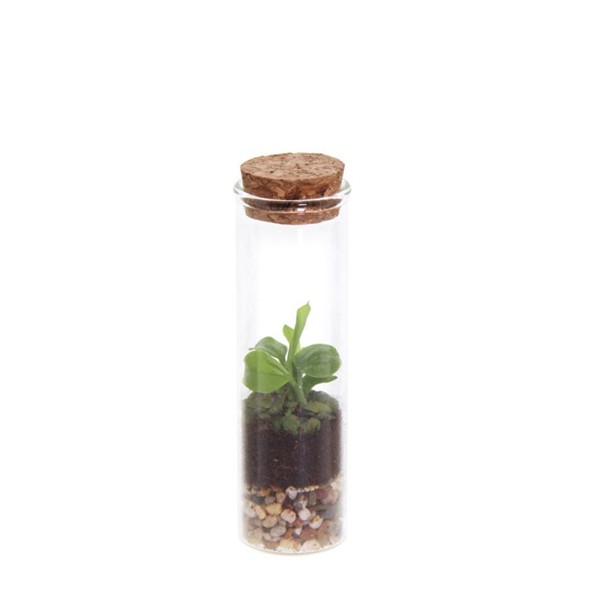 wardians-ecosystem-bottle-xxs-geschenk-met-verhaal