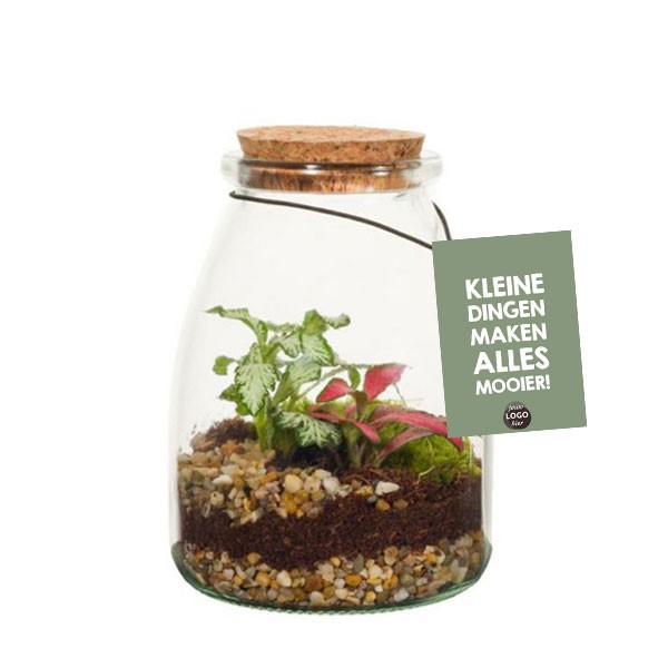 Planten-terrarium-Wardians-Ecosystem-glazen-pot-dag-van-de-leidster