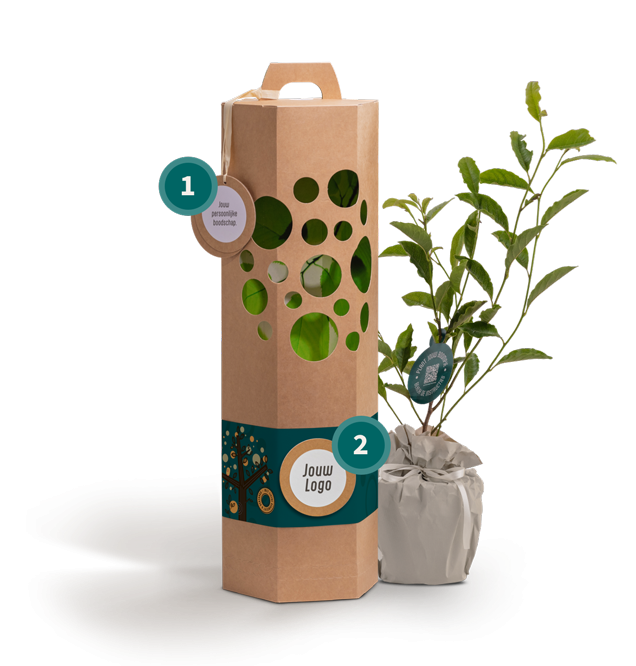 zakelijk-boomgeschenk-geschenk-met-verhaal-logo