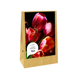 bloembollen-geschenk-zak-a-gift-for-you-tulpen-geschenk-met-verhaal