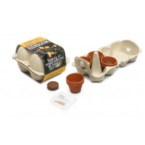 Eierdoosje-met-terracotta-potjes-geschenk-met-verhaal