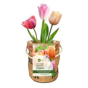 superwaste-super-tulip-pot
