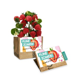 let-it-grow-mini-kweektuintje-zomer-superwaste-geschenk-met-verhaal