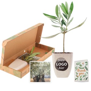 boomgeschenk-plant-geschenk-met-verhaal