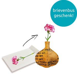 bottle-vase-brievenbuspakket-geschenk-met-verhaal