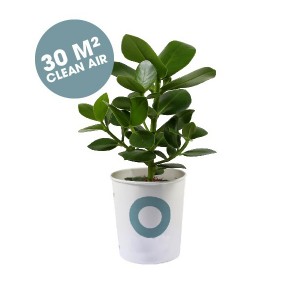 healthy-air-cleaning-machine-geschenk-met-verhaal