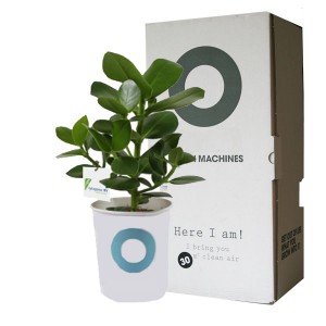 healthy-air-plant-cleaning-machine-geschenk-met-verhaal