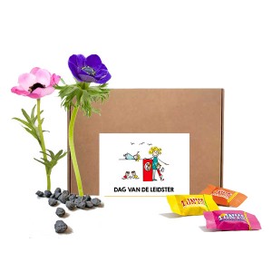 bloembollen-chocolade-dag-van-de-leidster-geschenk-met-verhaal