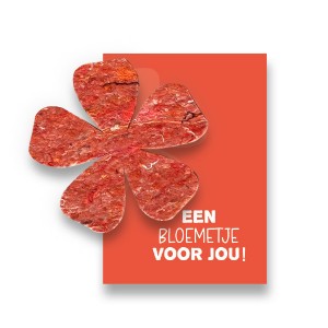 een-bloemetje-circulair-geschenk