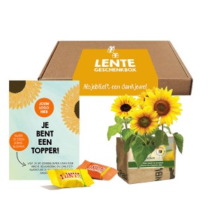 lentebox-mini-kweektuin-zonnebloem-brievenbusgeschenk-met-verhaal