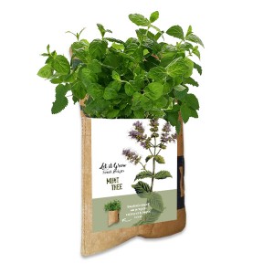 let-it-grow-thee-hangtuintje-geschenk-met-verhaal