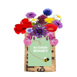 hangtuin-bijen-bloemen-bij-zonder-superwaste-geschenk-met-verhaal