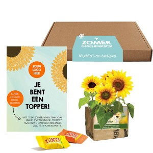 zomerbox-mini-kweektuin-zonnebloem-brievenbusgeschenk-met-verhaal