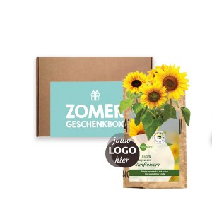 kweek-hangtuintje-zonnebloemen-geschenk-brievenbusbox