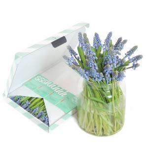 brievenbus-geschenk-met-verhaal-blauwe-druifjes