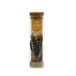 Tiny-treasurez-message-in-a-bottle-mix-geschenk-met-verhaal