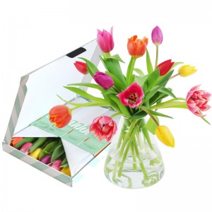 brievenbus-geschenk-met-verhaal-tulpen-mix