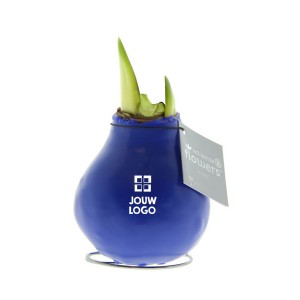no-water-flowers-geschenk-met-verhaal