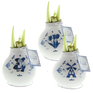 no-water-flowers-delftsblauw-geschenk-met-verhaal-amaryllis