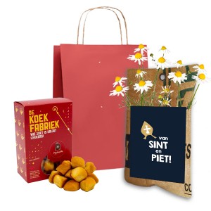 theetuin-pepernoten-sint-geschenk-met-verhaal