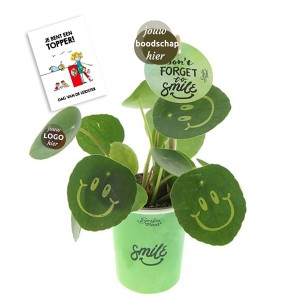smylieplant-geschenk-met-verhaal-kartonnen-pot-giftbox-dag-van-de-leidster