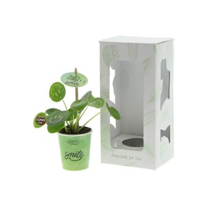 Smylieplant®-geschenk-met-verhaal