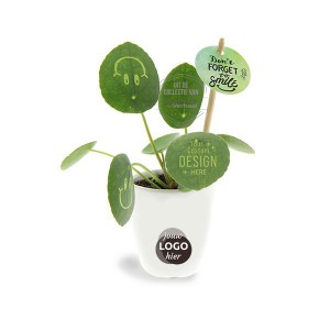 Smylieplant®-geschenk-met-verhaal