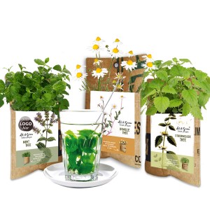 let-it-grow-thee-hangtuintje-geschenk-met-verhaal