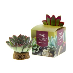 Tiny-treasurez-living-candle-geschenk-met-verhaal