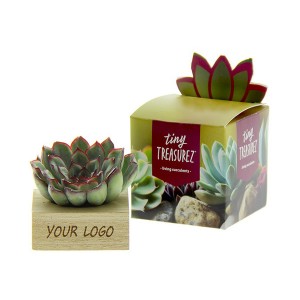 Tiny-treasurez-single-wood-geschenk-met-verhaal