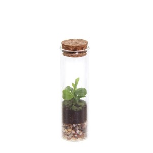 wardians-ecosystem-bottle-xxs-geschenk-met-verhaal