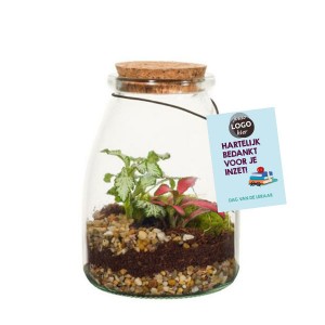 Planten terrarium Wardians Ecosystem glazen flesje S