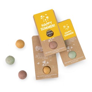blossombs-weggeefcadeautje-blister-geschenk-met verhaal